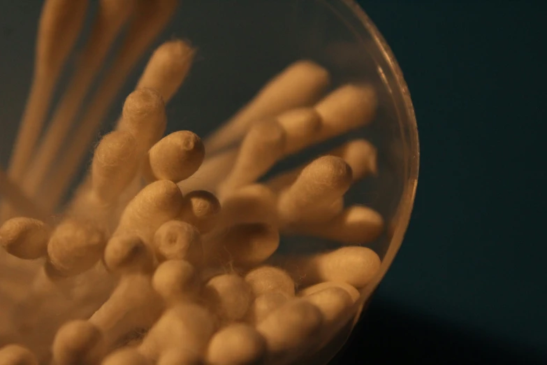 white matches inside of a round glass holder