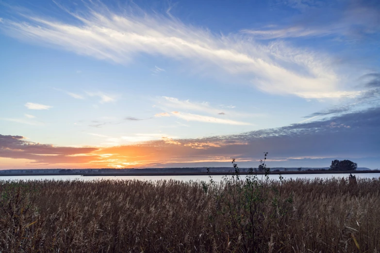 a lake and sky that is in some tall grass