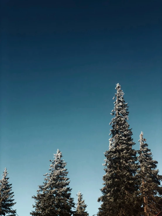 a person on a snowboard standing in the snow