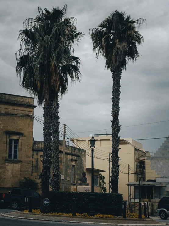 two palm trees stand next to an old building