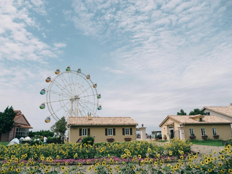 an amut park and houses with a large wheel