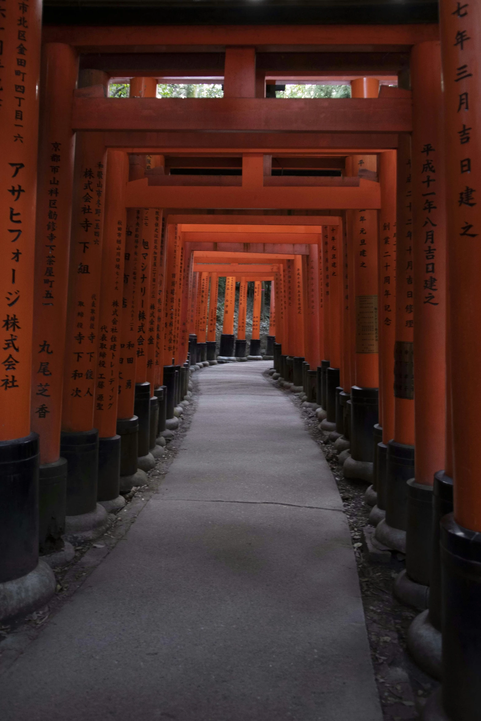 many columns are lined up along a walkway