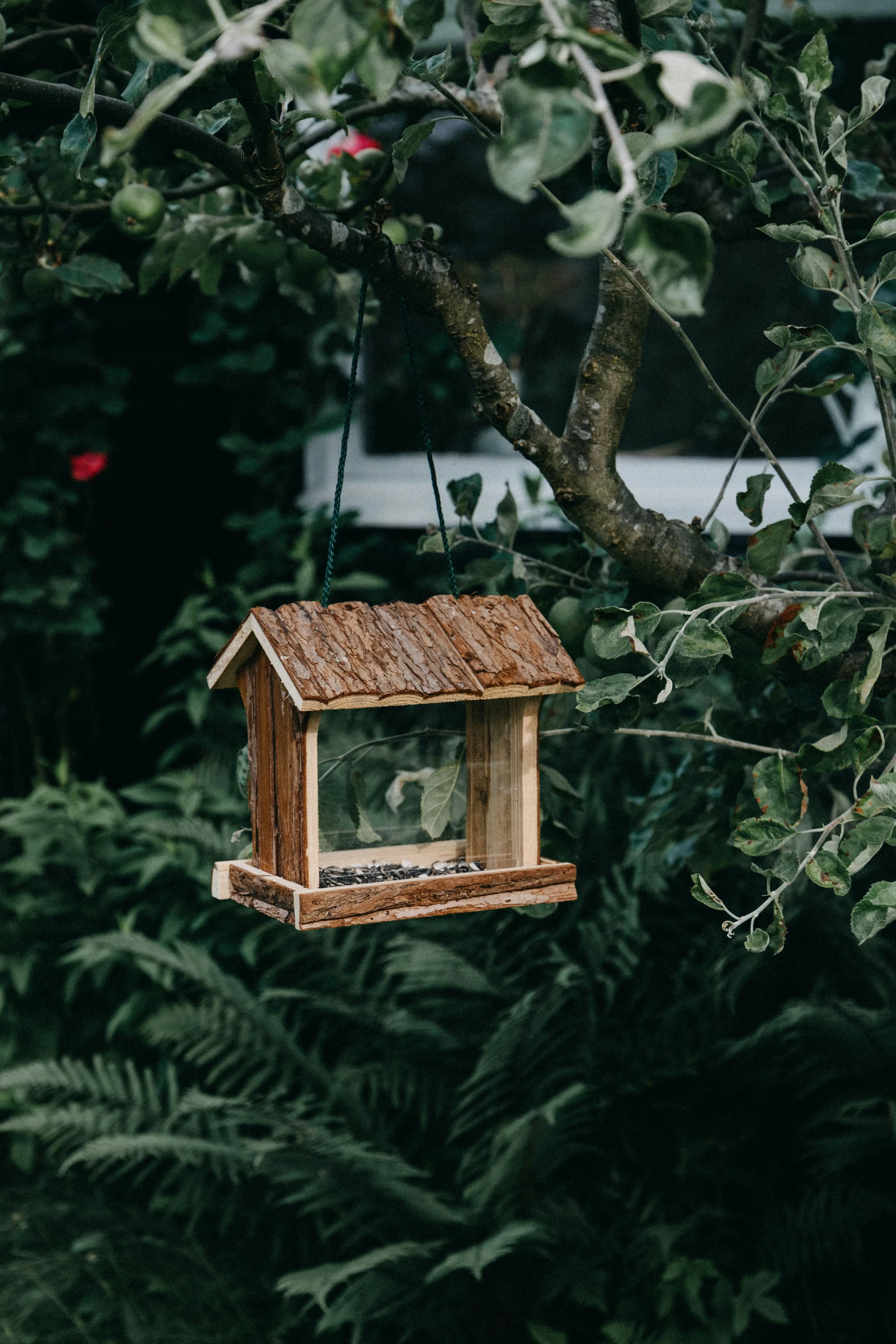 a bird house sitting on top of a tree next to trees