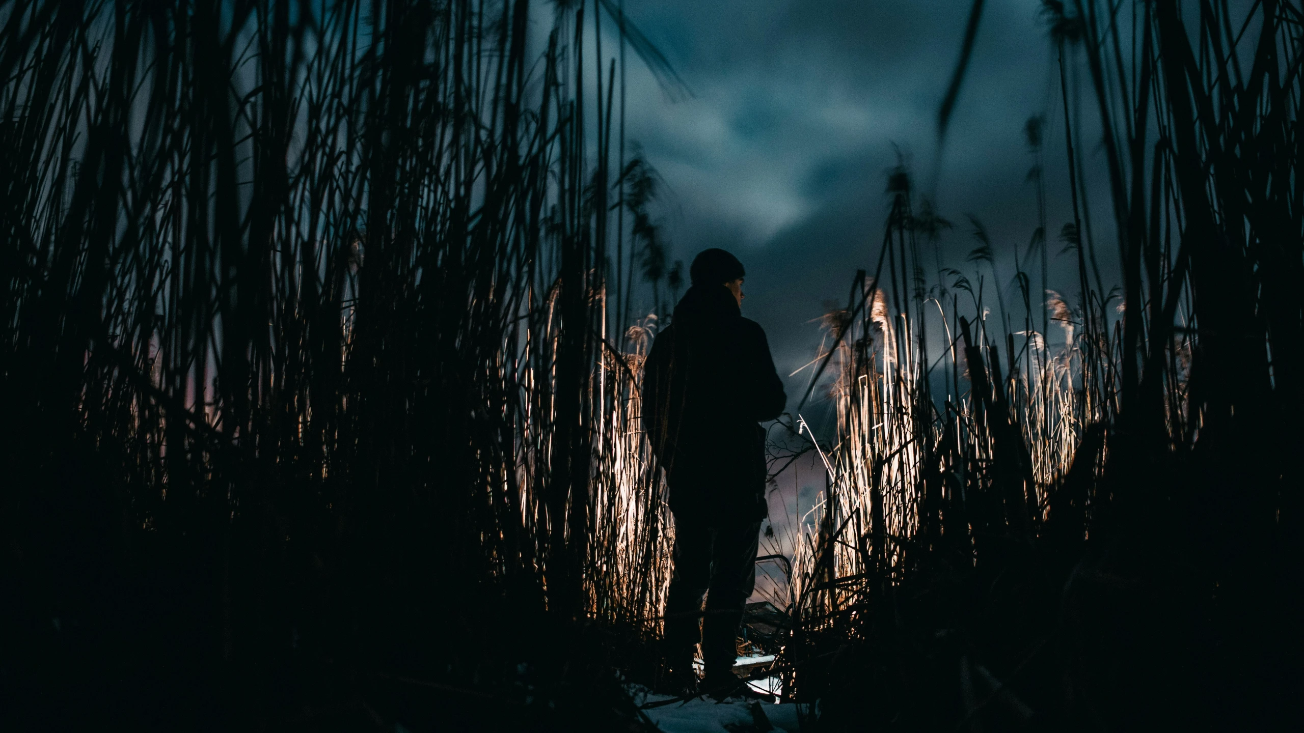 the silhouette of a person standing in a field