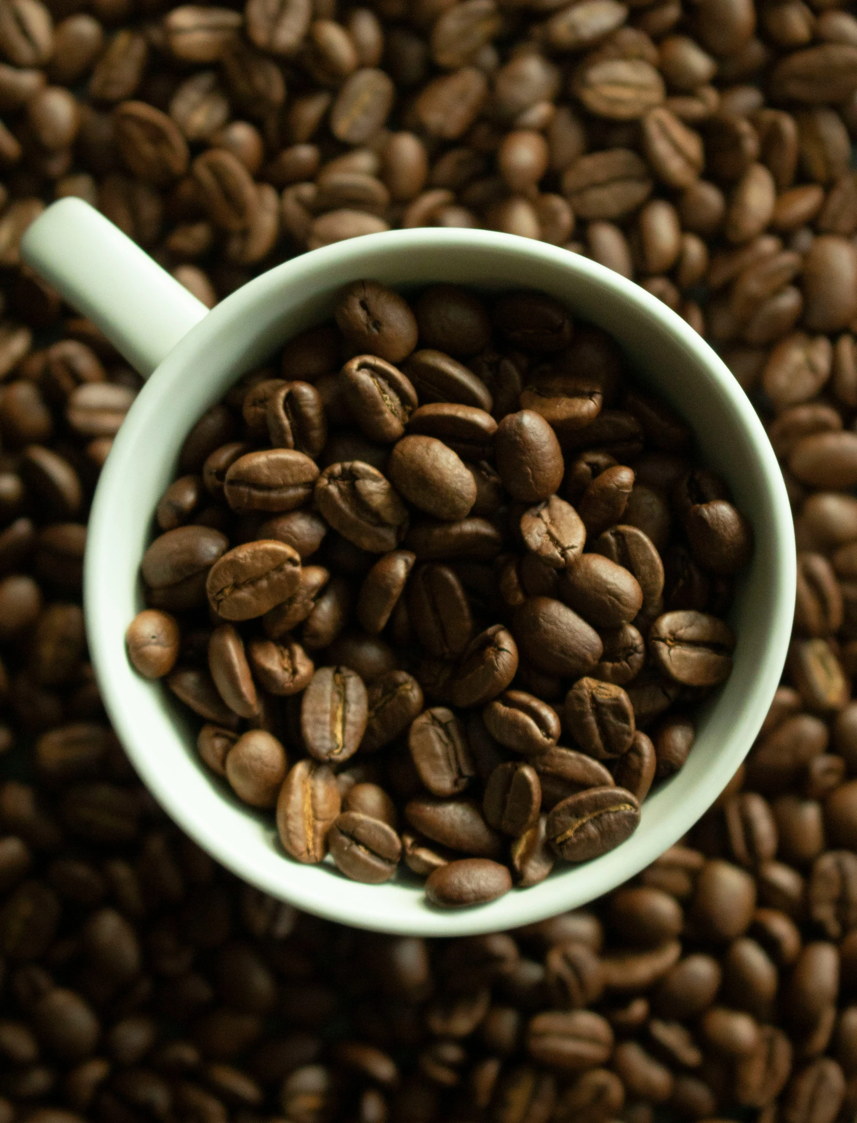 a cup that has coffee beans in it