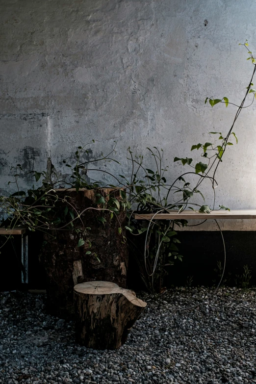 a tree stump sits near a wall, and leaves are on the ground