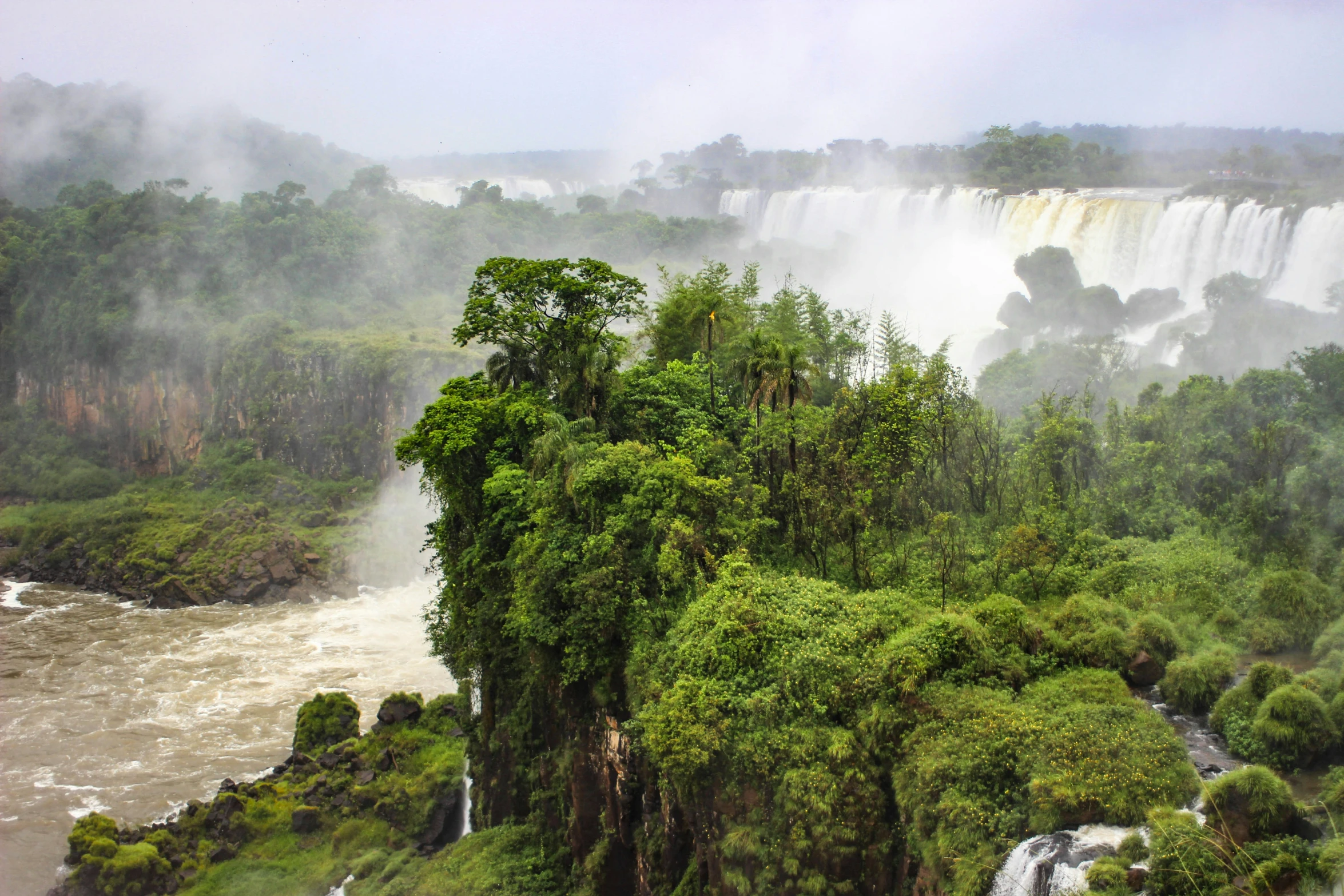 the waterfall is towering above the jungle