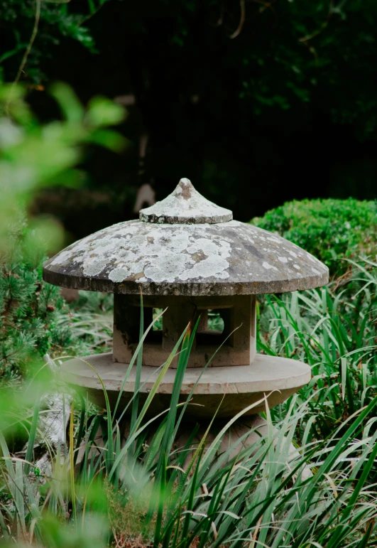 an old stone lantern near a bush in the woods