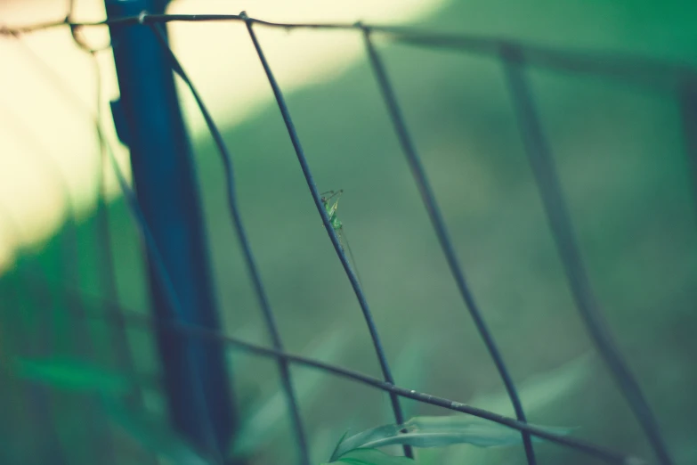 a fence with wires and some grass