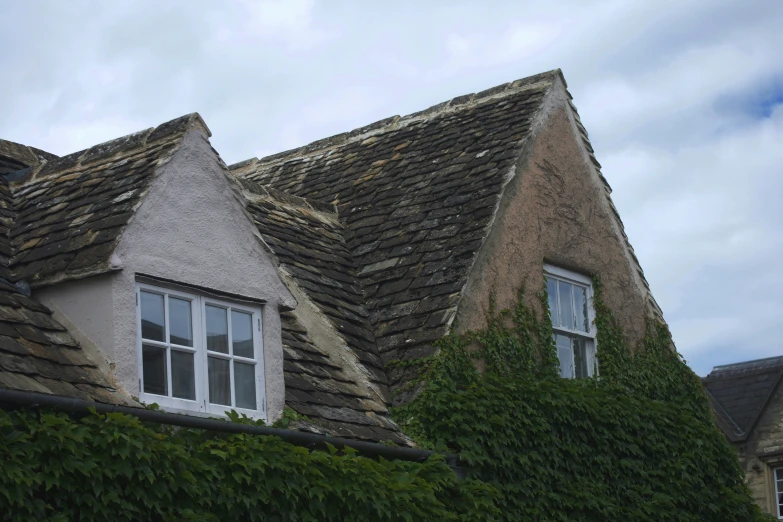 the roof of an old home with ivy growing on it
