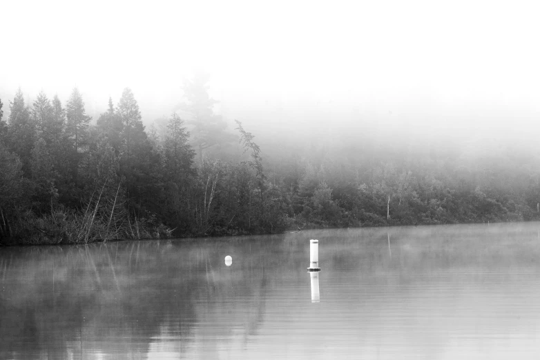 a black and white po of fog rising over water