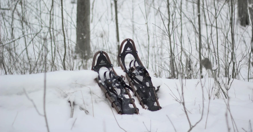 two skis sticking up out of the snow in a forest