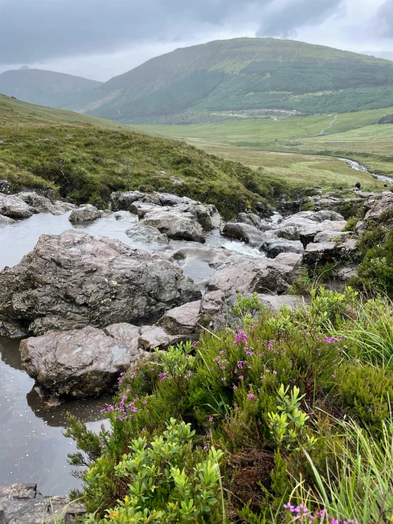 a stream running through a lush green hillside