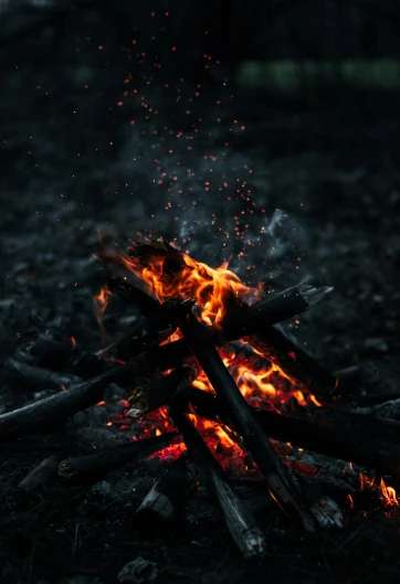 a small fire burning in the middle of a forest