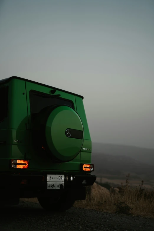 the back end of an automobile parked in a grassy field