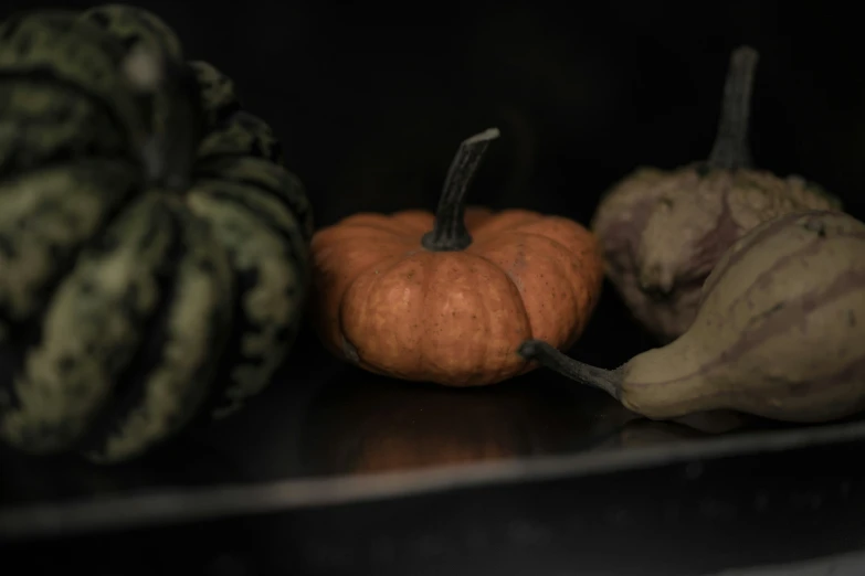 a collection of pumpkins and squash sits on the shelf