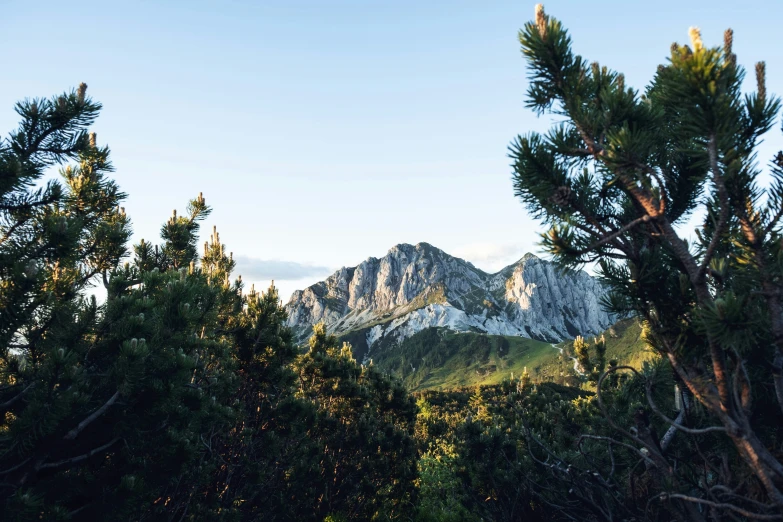 a mountain range with trees, rocks and leaves