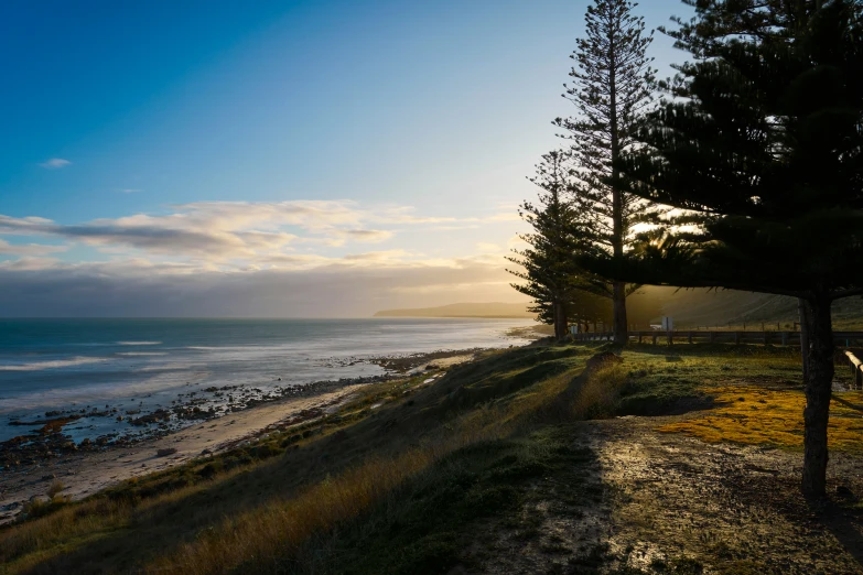 the sun is rising over the ocean with trees