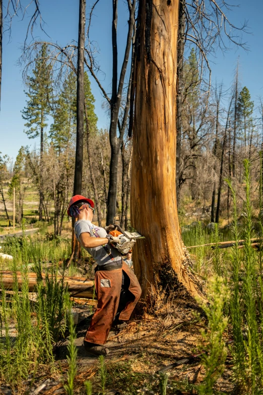 a man is in a hat and overalls in the forest