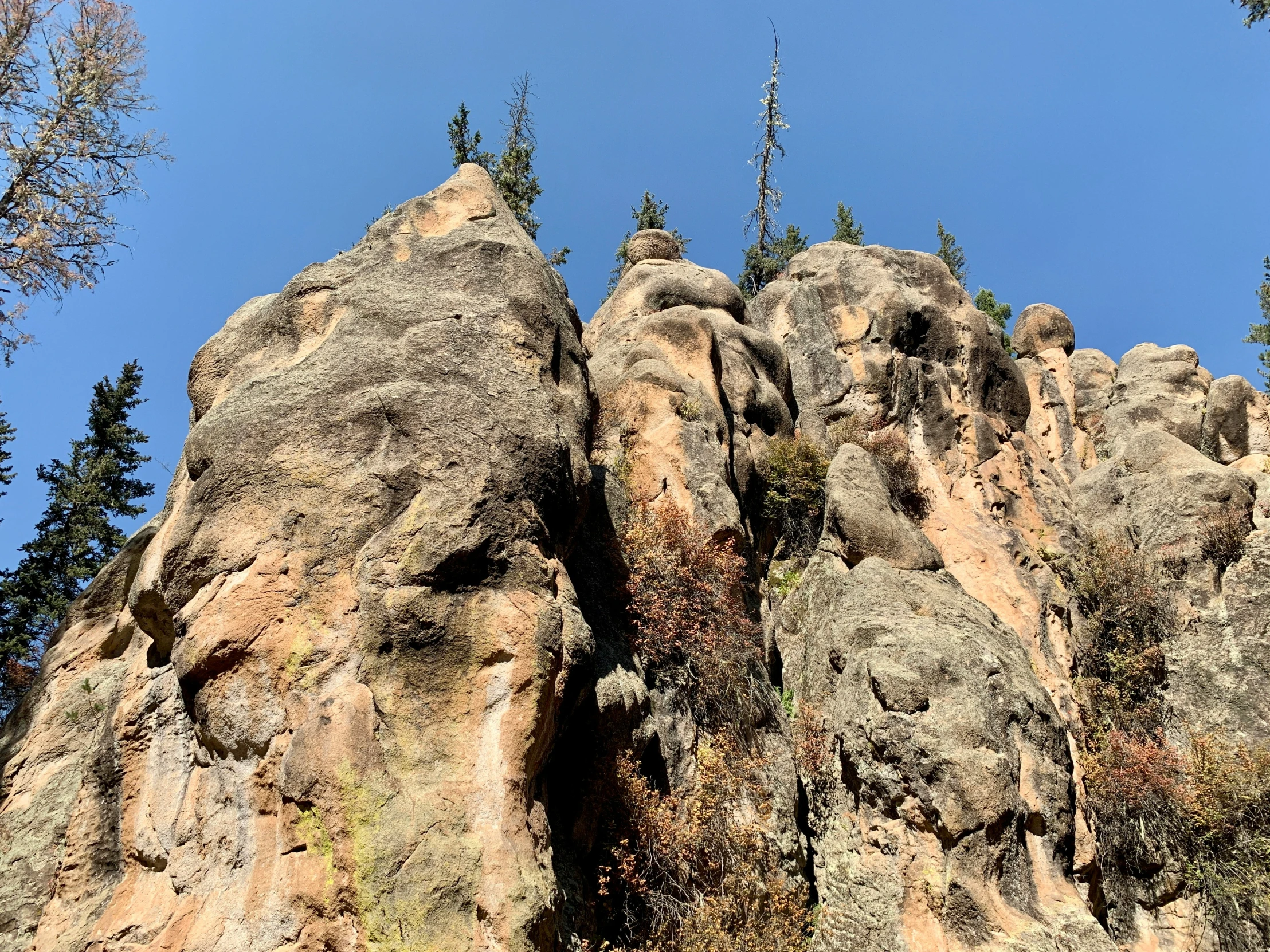 some very tall rocks and some trees