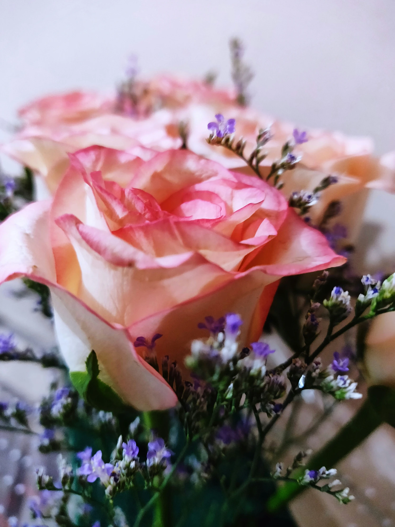 a close up of some flowers near one another