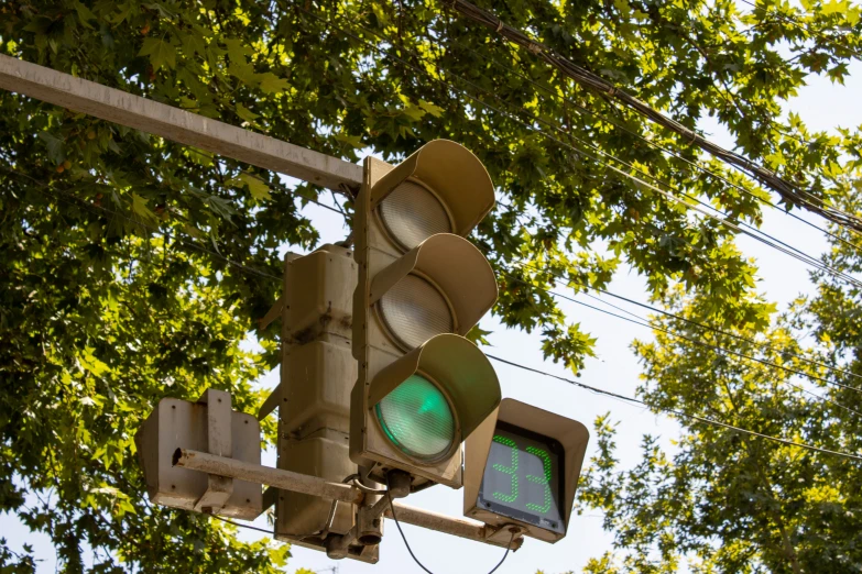 an image of a traffic light with a green arrow at the top