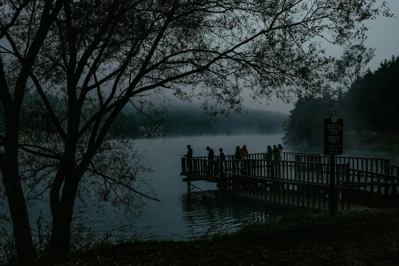 a large tree on a wet, overcast day