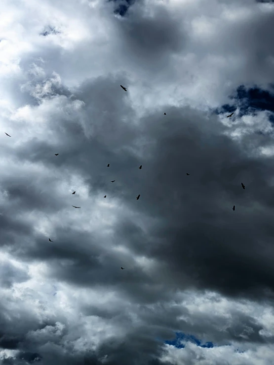 birds are flying across a dark cloudy sky