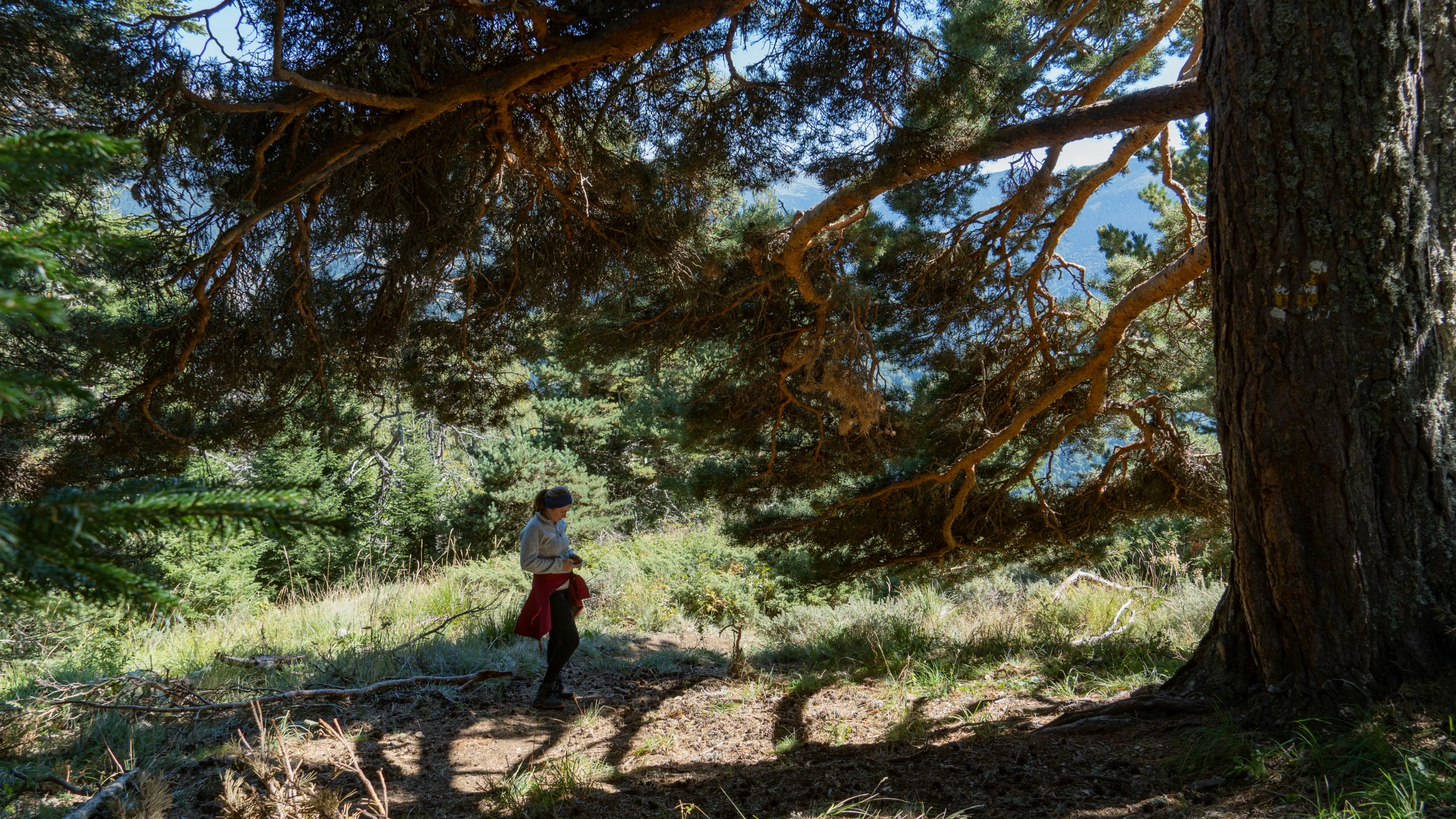 the person walking in a forest has two shoes on