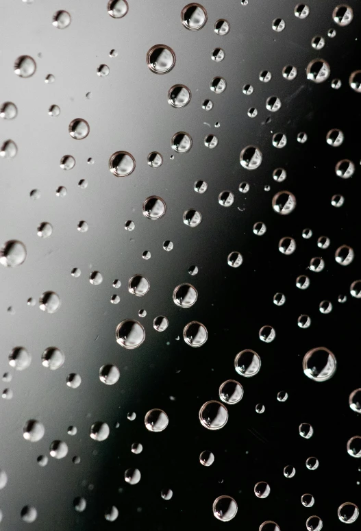 rain drops on black surface, with light reflecting from top