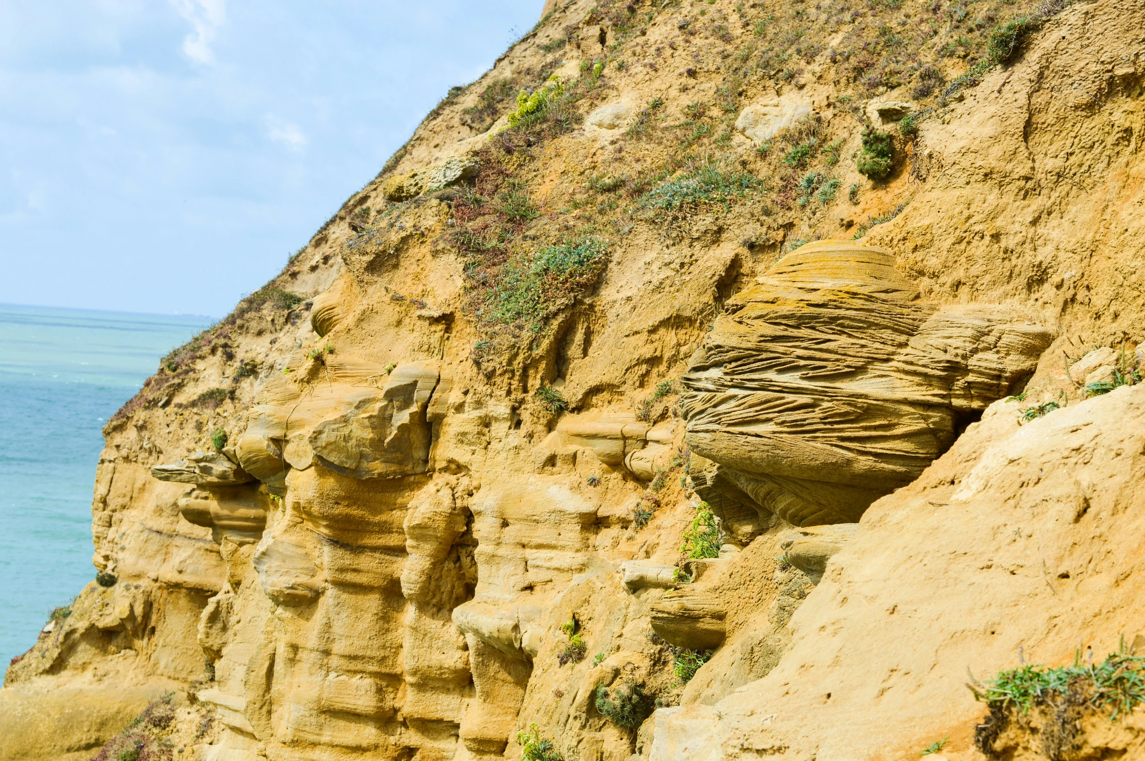 the cliff face is full of plants and vegetation