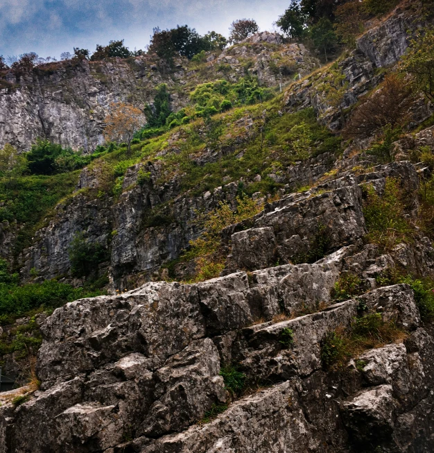 a mountain has grass growing on it