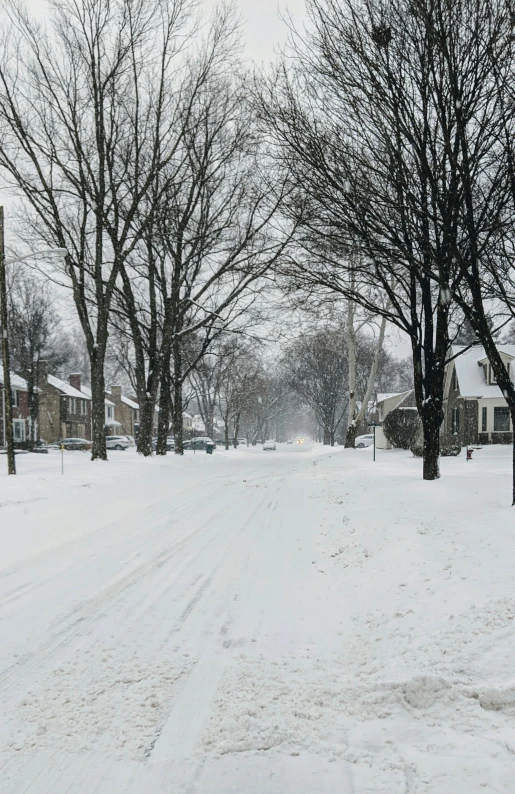 a street covered in snow and lots of trees