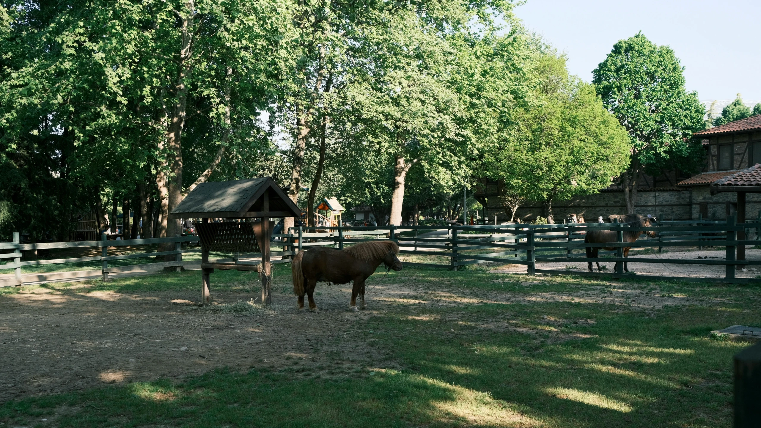 a couple of cows are in a field