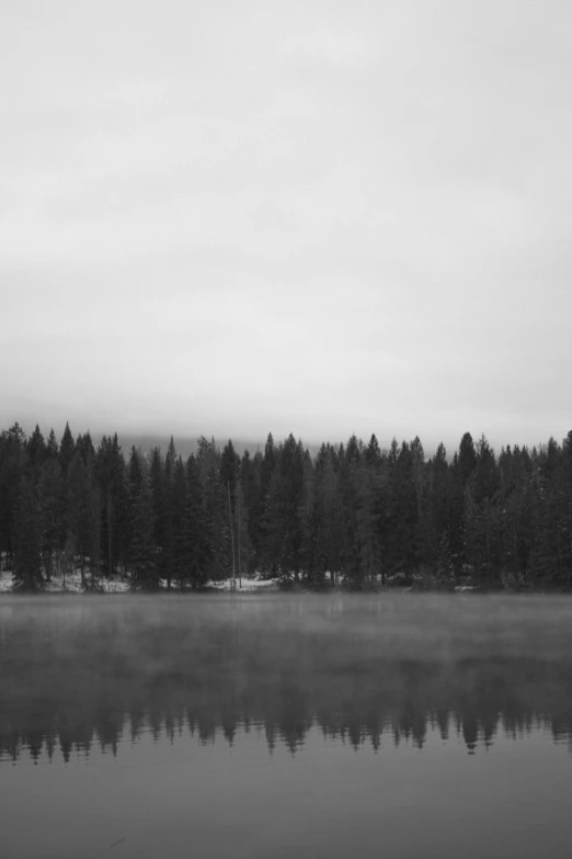 a body of water next to a forest covered hillside