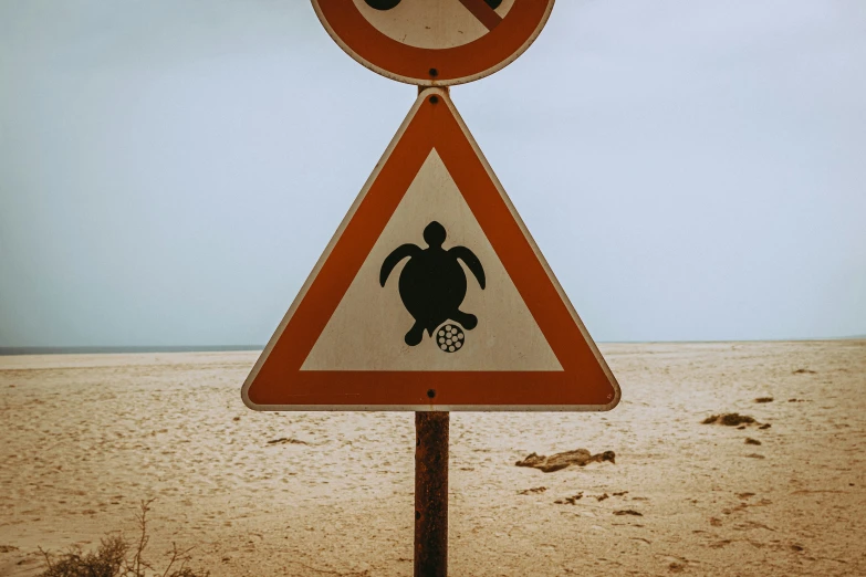 a warning sign at the beach with an image of a turtle