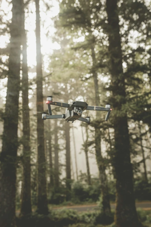 a small flying device hovering through a forest filled with trees