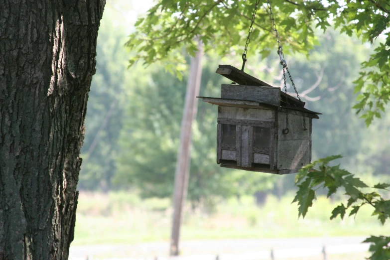 a birdhouse hanging from a tree near a park