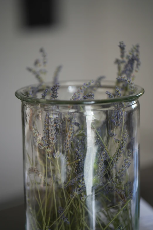 a clear vase filled with lots of purple flowers