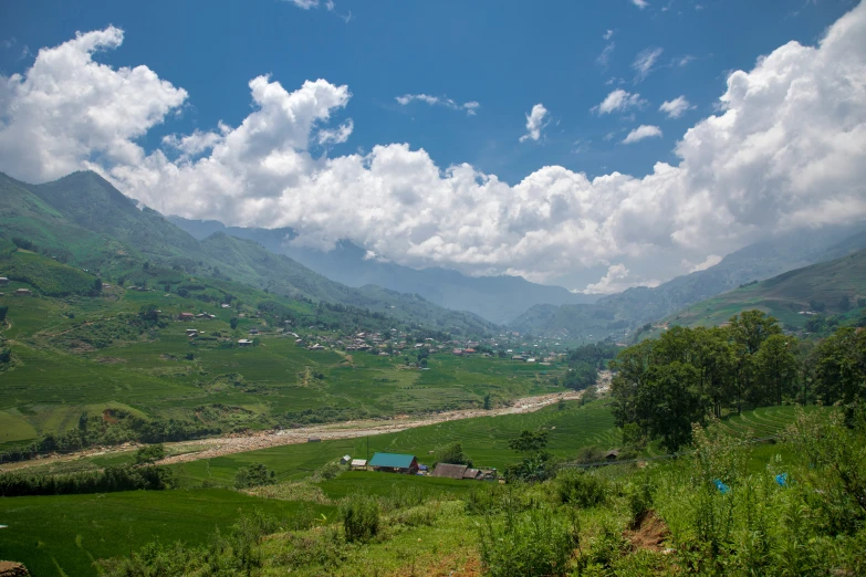 a lush green hillside with many trees and clouds in the background