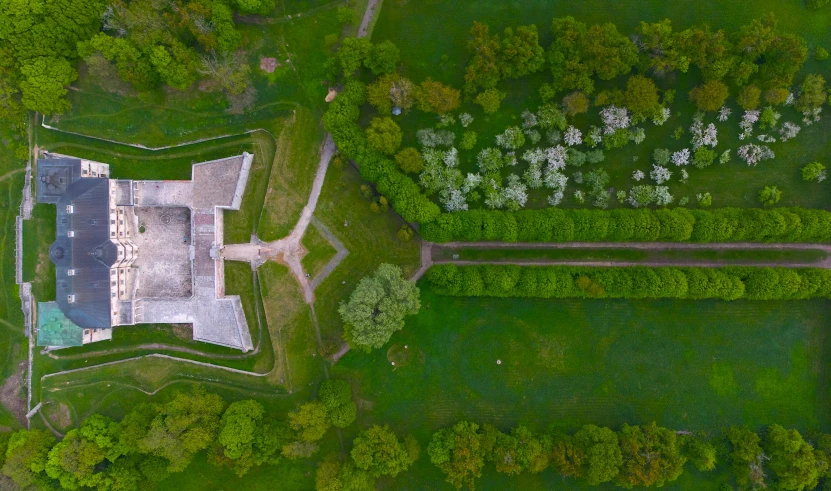 an aerial view of a castle and trees