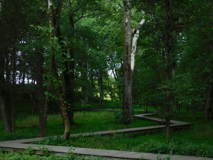 an open area in the woods with several stone steps