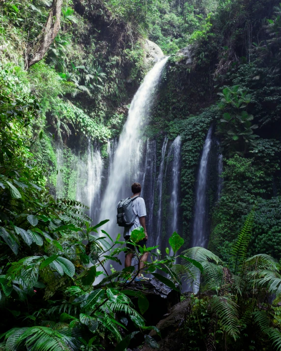 a man walking across a lush green forest