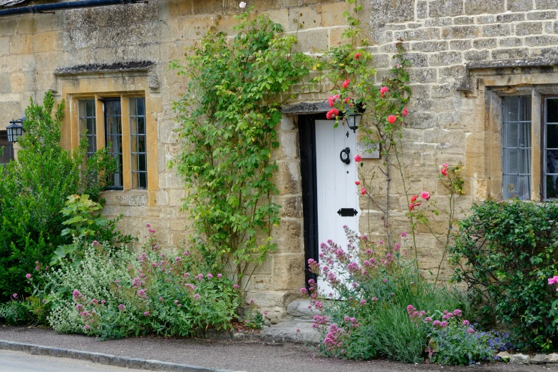 there is a building with flowers growing all over it