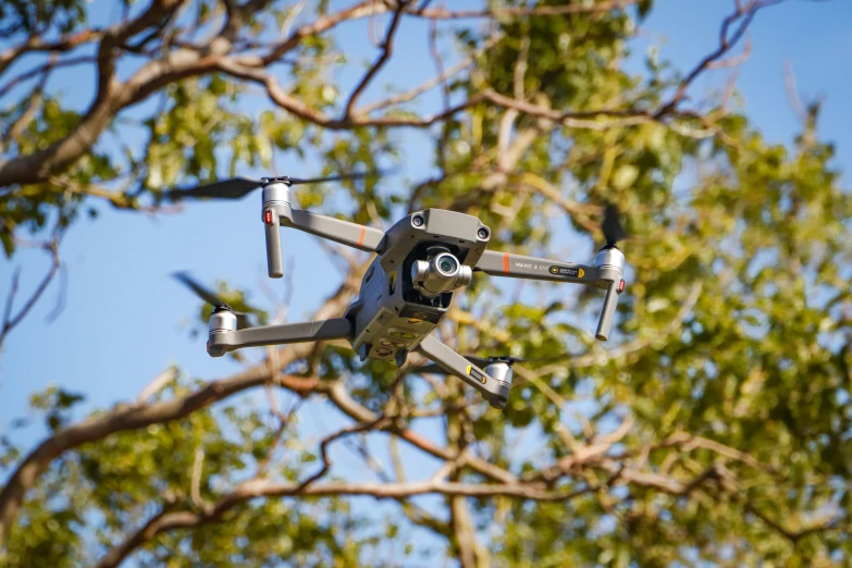 a flying white object among a bunch of trees