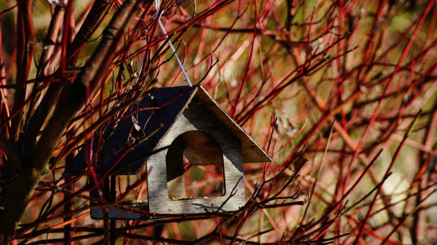 a birdhouse that is hanging from a nch