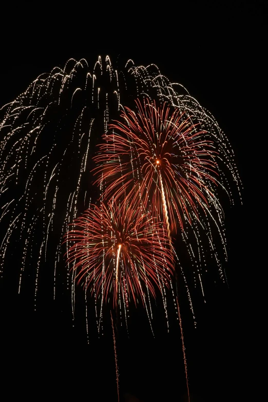 fireworks are set off from a black sky