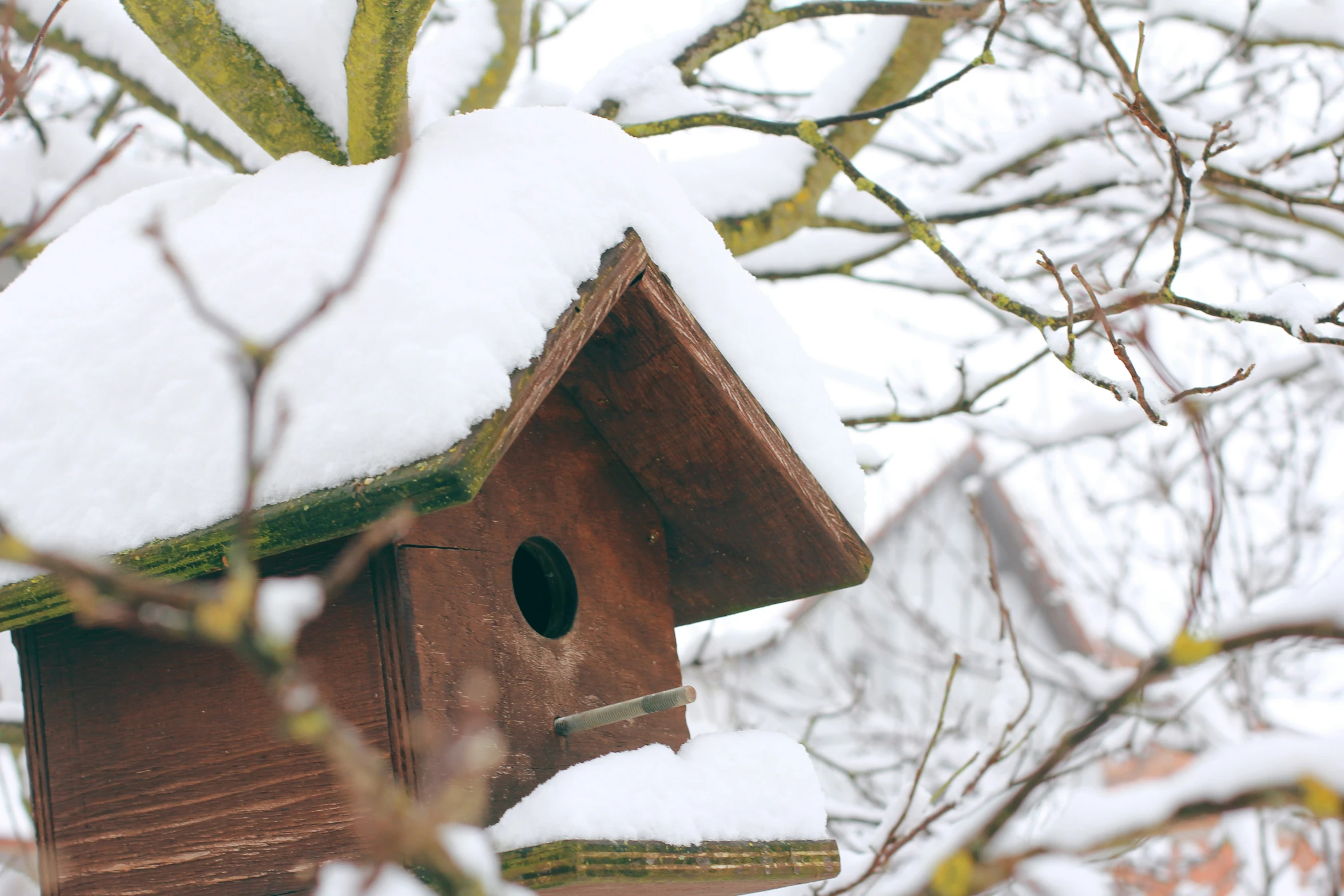 a birdhouse is shown covered in snow