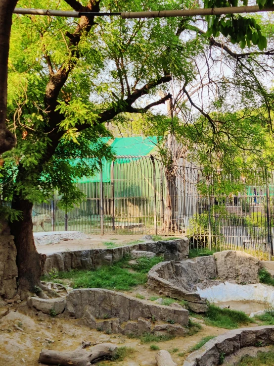 a giraffe in its pen at the zoo