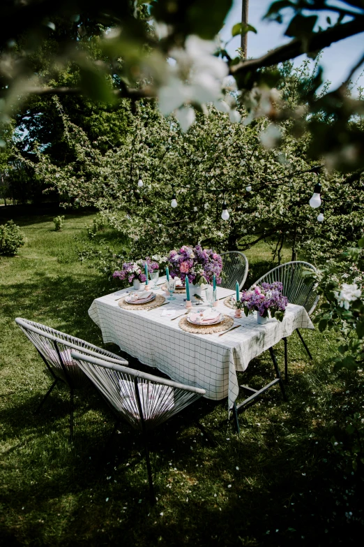 a table in the middle of some trees with food on it